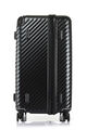 STEM SPINNER 76/28 TRUNK  hi-res | Samsonite