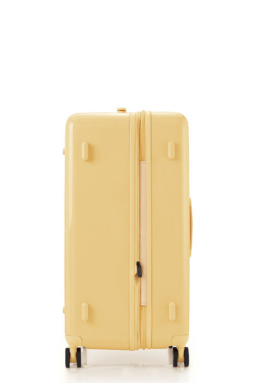 TOIIS BLOSSOM TRUNK  COVER  hi-res | Samsonite