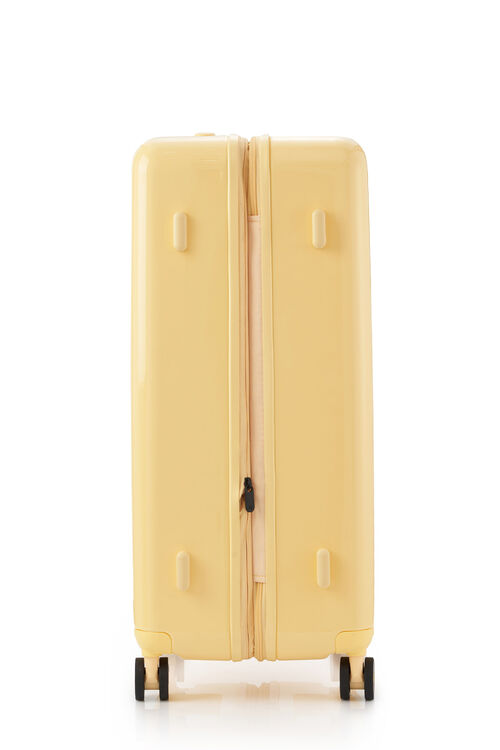 TOIIS BLOSSOM SPINNER 76/28 EXP  COVER