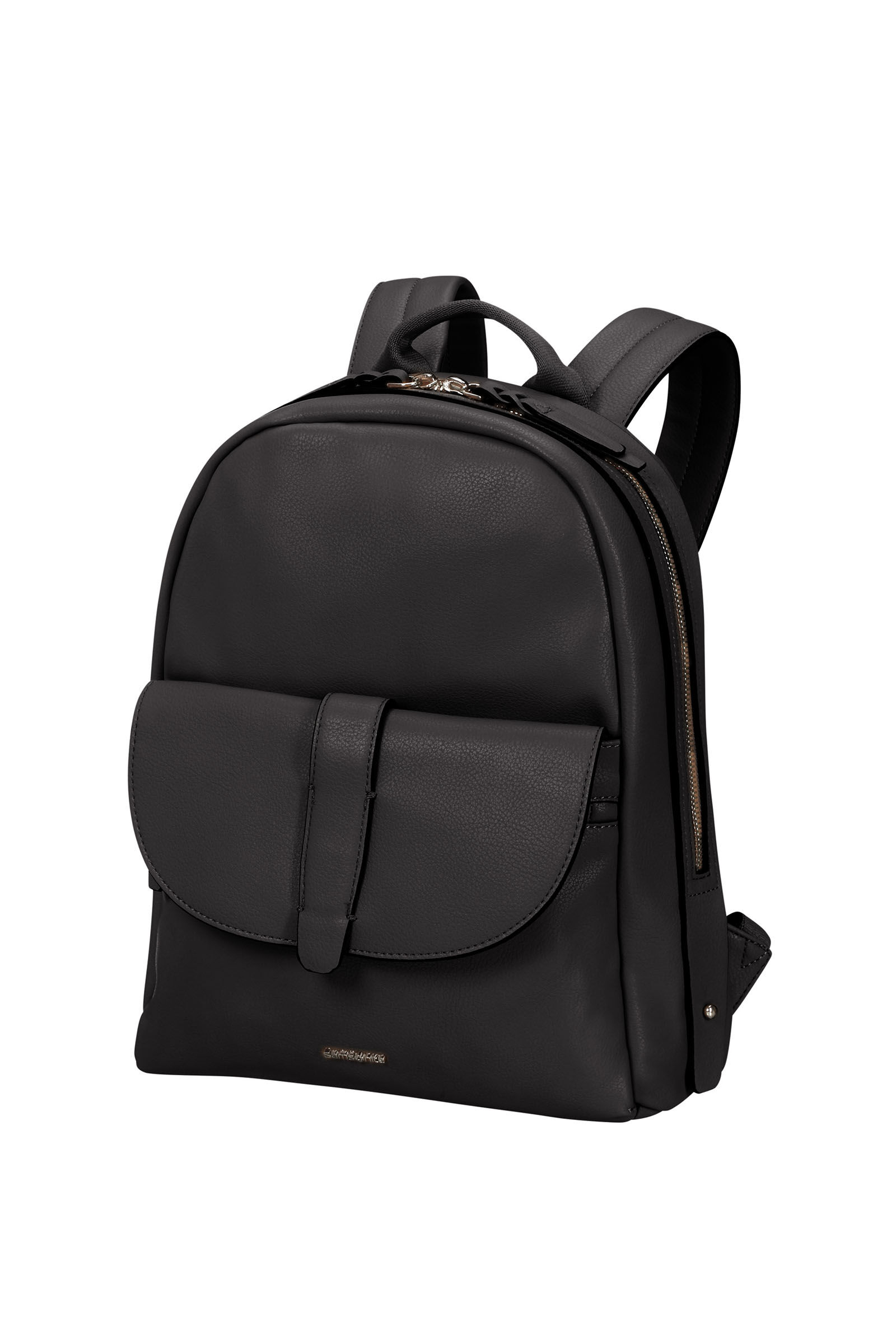 samsonite shammy