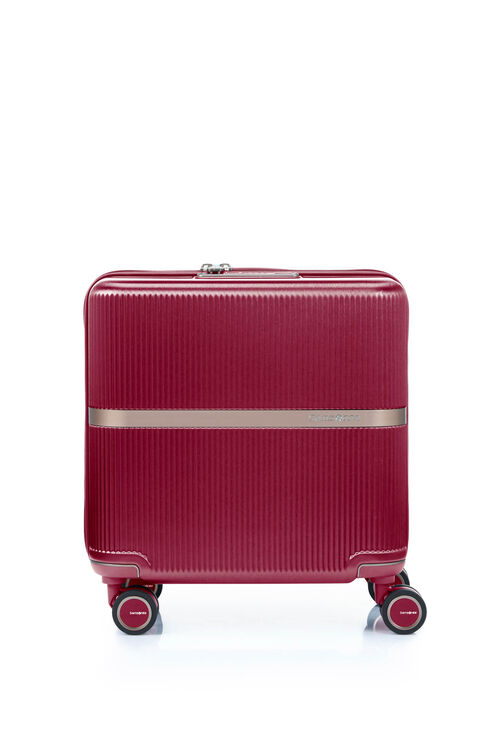 MINTER SPINNER 44/15  hi-res | Samsonite