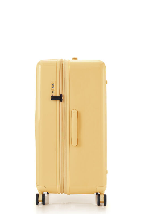 TOIIS BLOSSOM TRUNK  COVER  hi-res | Samsonite