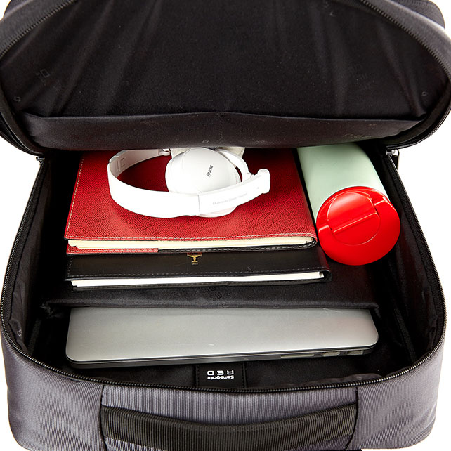 SCABORO BACKPACK  detail | Samsonite