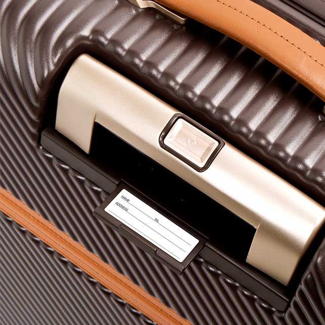 SBL RICHMOND II SPINNER 68/25 TAG  detail | Samsonite