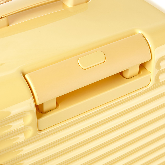 TOIIS BLOSSOM TRUNK  COVER  detail | Samsonite